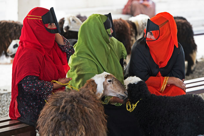 Viehmarkt im Souq con Sinaw mit Kamelen, Ziegen und mehr